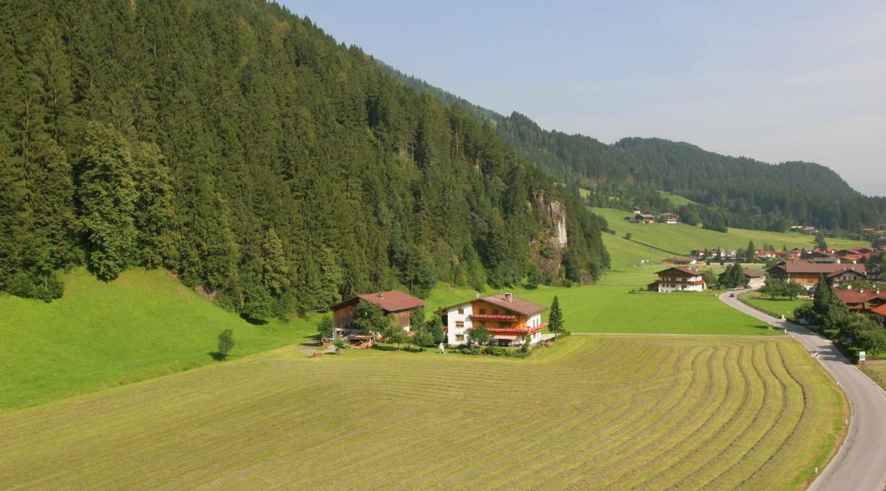 Lippnerhof Apartment Aschau Im Zillertal Exterior foto